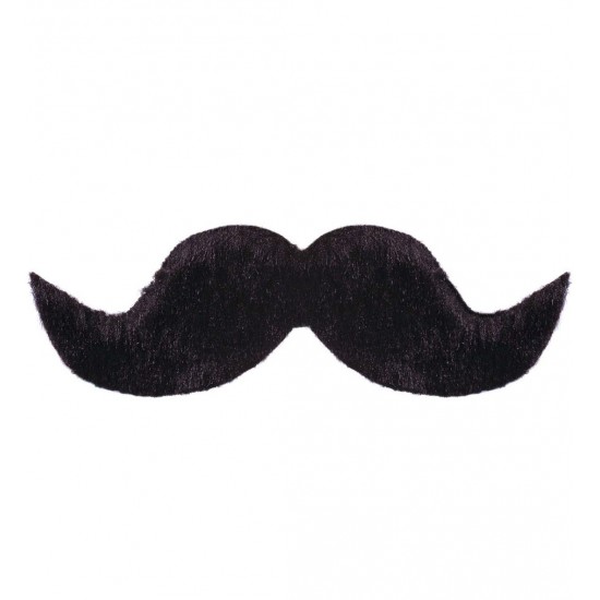 Μουστάκι Γυριστό