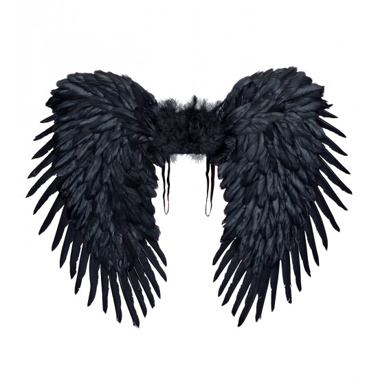 Φτερά Μαύρα Πλάτης 80x60cm