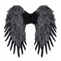 Φτερά Μαύρα Πλάτης 50x50cm