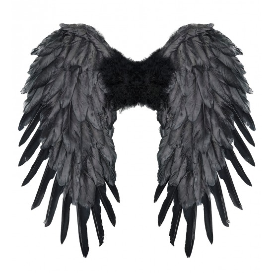 Φτερά Μαύρα Πλάτης 50x50cm