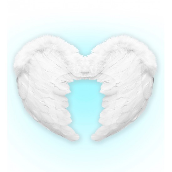 Φτερά Λευκά πουπουλένια 37x50cm